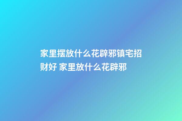 家里摆放什么花辟邪镇宅招财好 家里放什么花辟邪